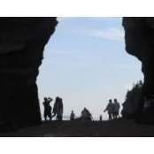 Jackie Donovan's photo