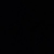 Jigden Palzer's photo