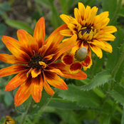 Ann's photo