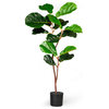 Fiddle-Leaf Fig Tree, 41"x11"