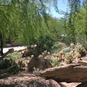 North Scottsdale Residence