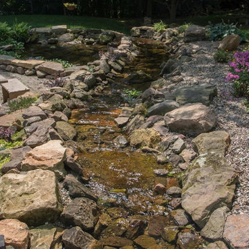 Woodland Stream & Pond