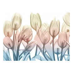 "Magical Garden.Jpg" Print, 18"x24"