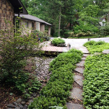 Yard ideas