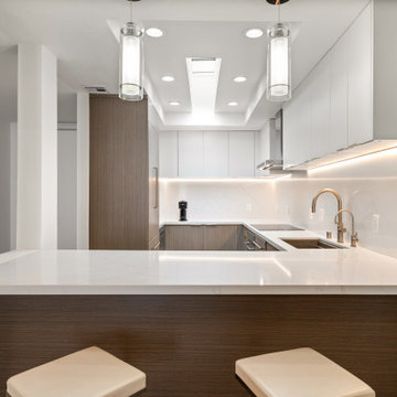 Complete Remodel in West Hollywood