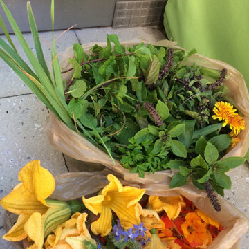 rooftop garden harvest