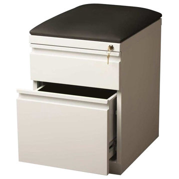Scranton & Co 2-Drawer Metal Mobile Pedestal File Cabinet in White/Black