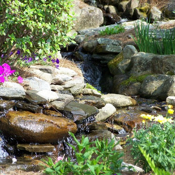 Ellen's Garden Landscape and Water Feature Fountain/Pond (Design/Build/Maintain)