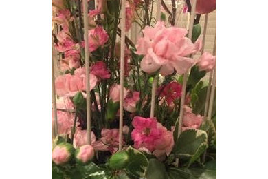Floral Design