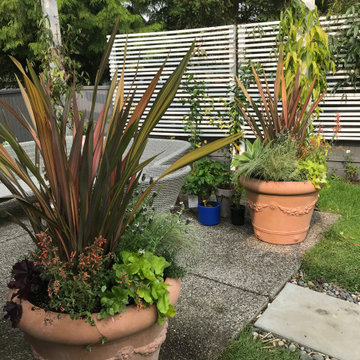 Mediterranean Garden in Tsawwassen