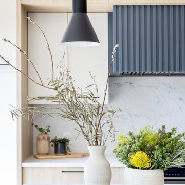 GOVERMENT LANE RENOVATION | TOWNHOUSE | BURNABY