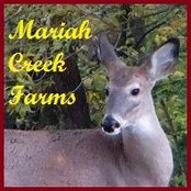 Lynn Recker's photo