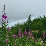 Foto von Mary-Jo Snively
