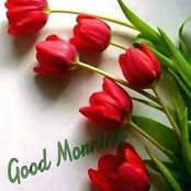 Monu Chauhan's photo
