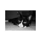 Rae Kimball's photo
