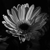 Margaret Casey's photo