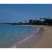 Kevin DeBelloy's photo