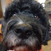 Kathi McDowell's photo