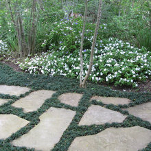 Landscape Ideas
