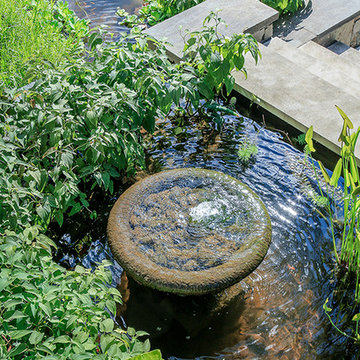 Water-Harvesting Fish Ponds