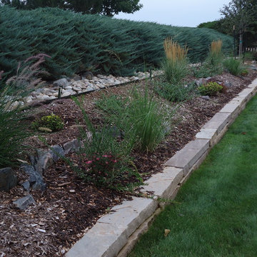 Xeriscapes