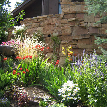 Perennial Plants & Perennial Gardens