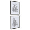 Silver Ferns Framed Prints, Set of 2