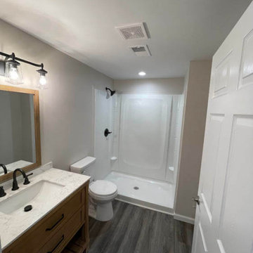 Basement bathroom remodel