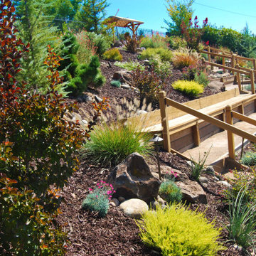 Terraced Backyard