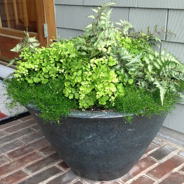 Garden Designs in Containers
