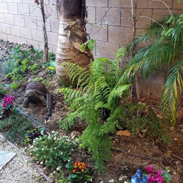 Romantic Vegie Garden Before and After