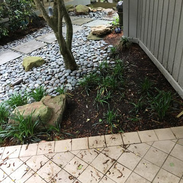 Shaded Asian Garden