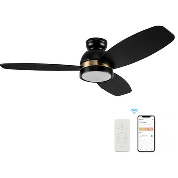 CARRO 52" Low Profile Flush Smart Ceiling Fan With Dim LED Light and Remote, Black/Gold