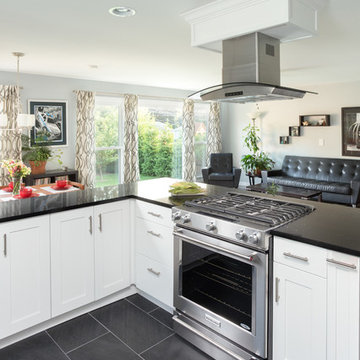 Des Plaines Kitchen Remodeling