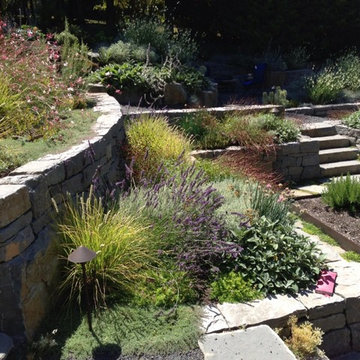 Audubon Certified Backyard Habitat