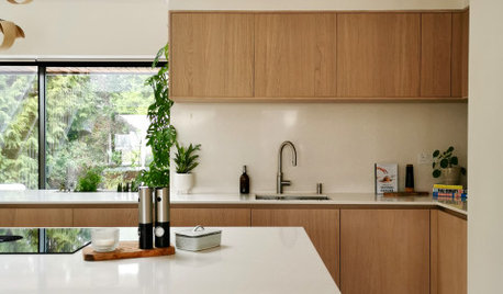 Houzz Tour: A 1960s Bungalow Gets an Airy, Biophilic Redesign