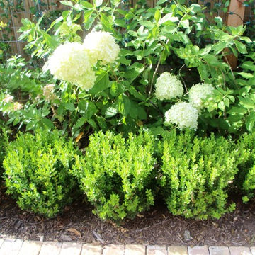 Herbs and Pond...beautiful hand made brick!