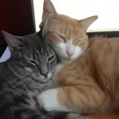Donna Makowski's photo
