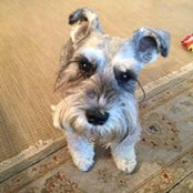 John Rohring's photo