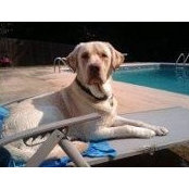 Todd Catron's photo