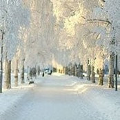 Sandi DaSilveira's photo