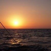 Diego Basterra's photo