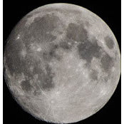 John Lyons's photo