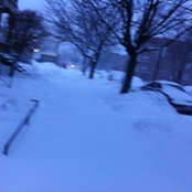 Dora Rosenthal's photo