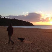 Tom Aliotti's photo