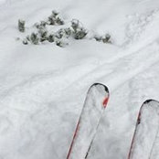 Thomas Parouty's photo