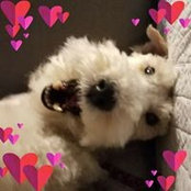 Sue Sarver's photo
