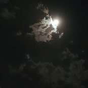 Lisa Kaminski Dinger's photo