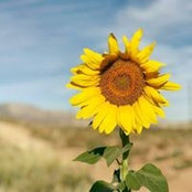 Joyce Kuzmanic's photo
