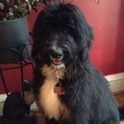Judy Wiley's photo